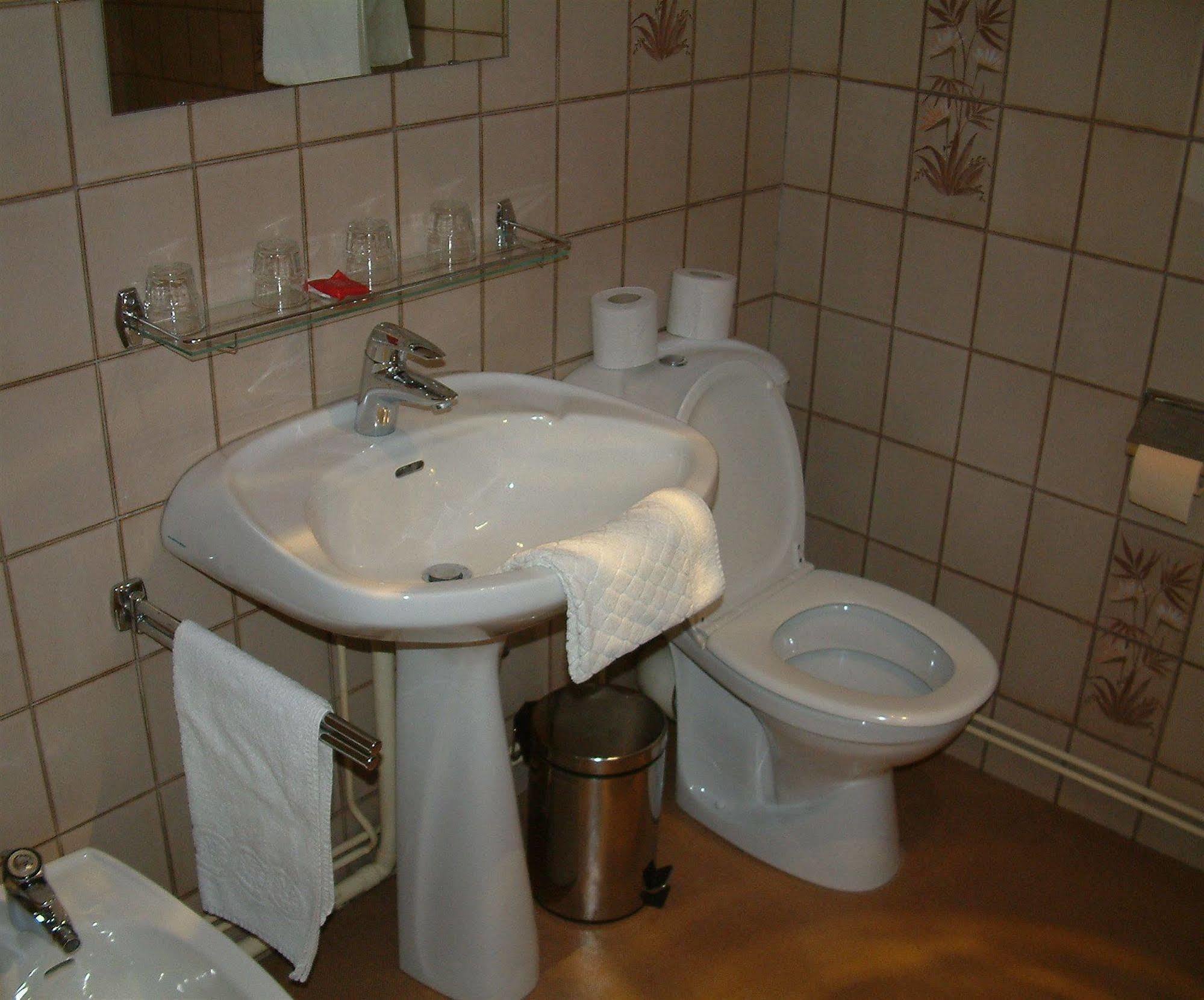 Hotel Cheval De Bronze Remiremont Dış mekan fotoğraf